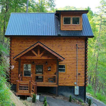 Hawks Nest Mountain Cabin เซอเวียร์วีล ภายนอก รูปภาพ